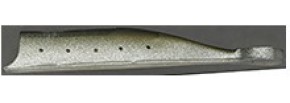 Ninjari Worm size M - 06