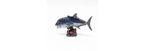 Giant Trevally - GT