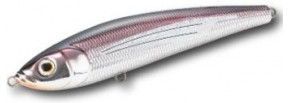 G-Anchovy