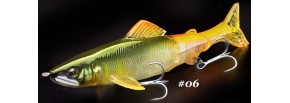 #06